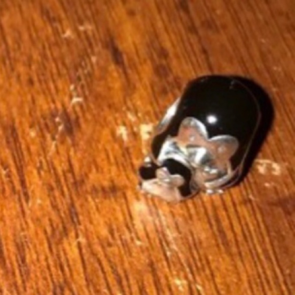 Pandora charm penguin